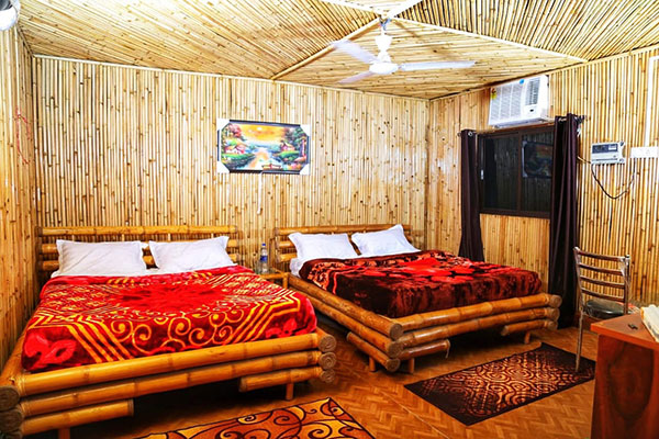 Kangra Himachal Room